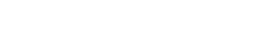 WD Studio Agency